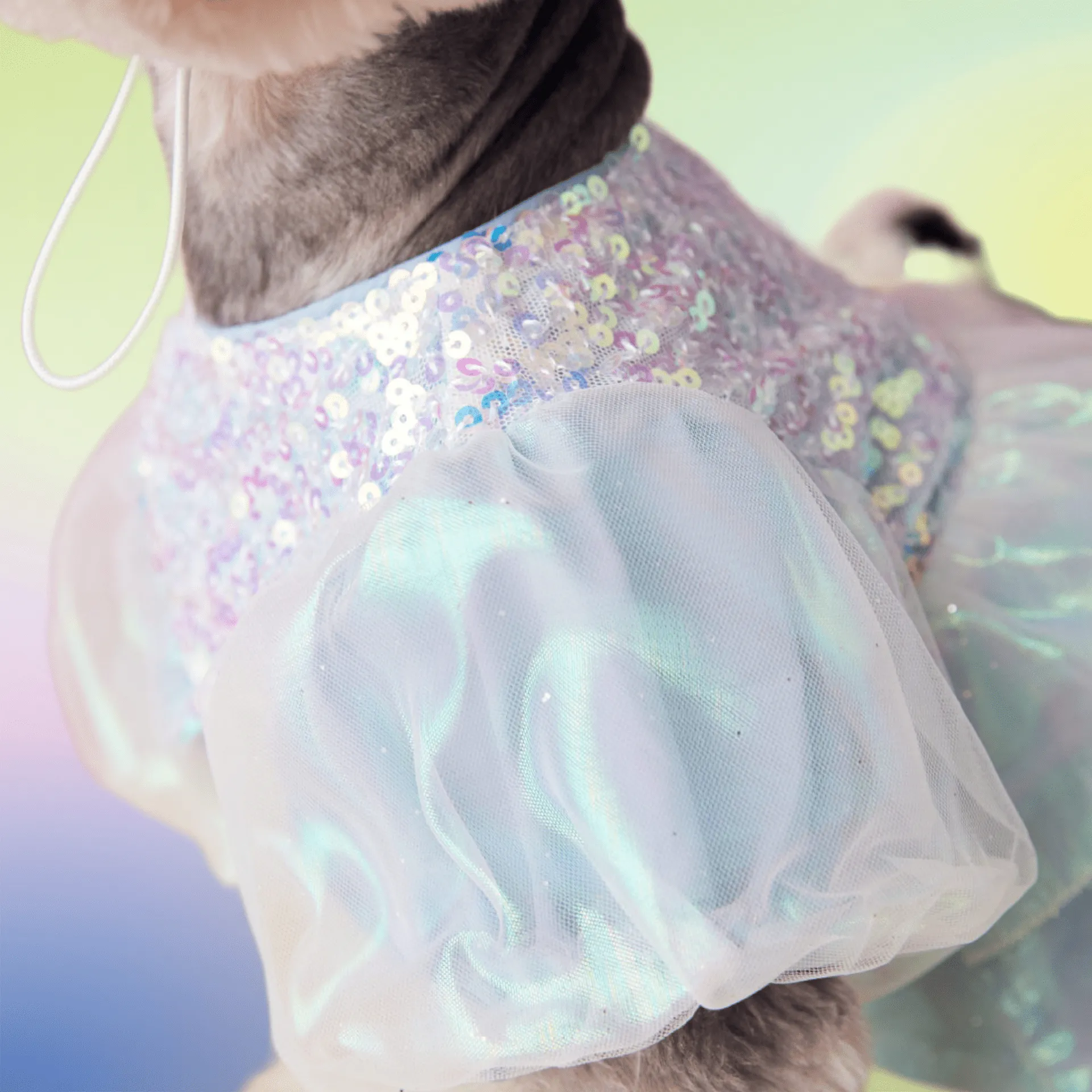 Anniepaw Sequined Azure Elegance Ball Gown