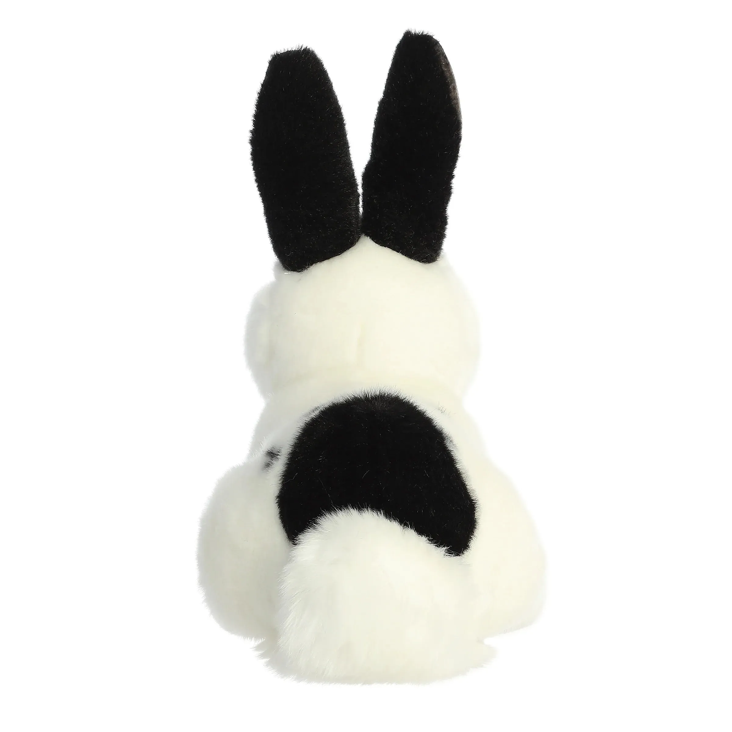 Black and White Rex Rabbit