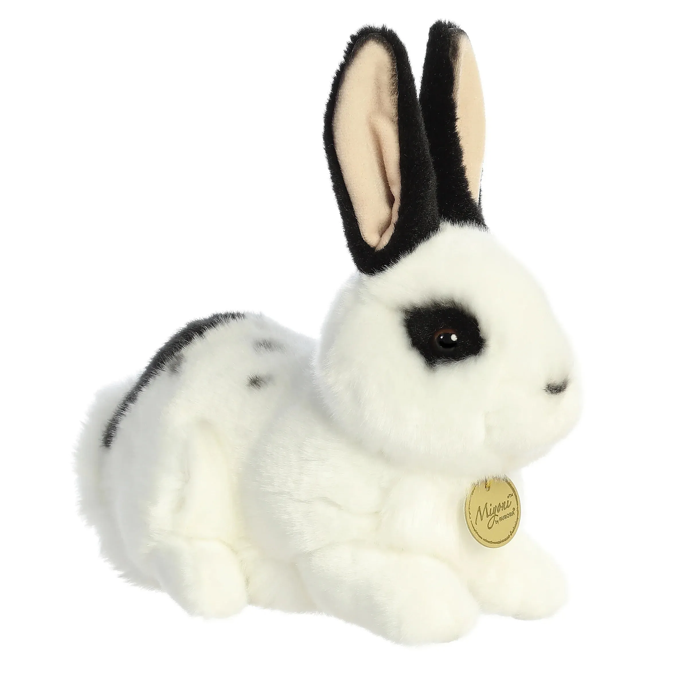 Black and White Rex Rabbit