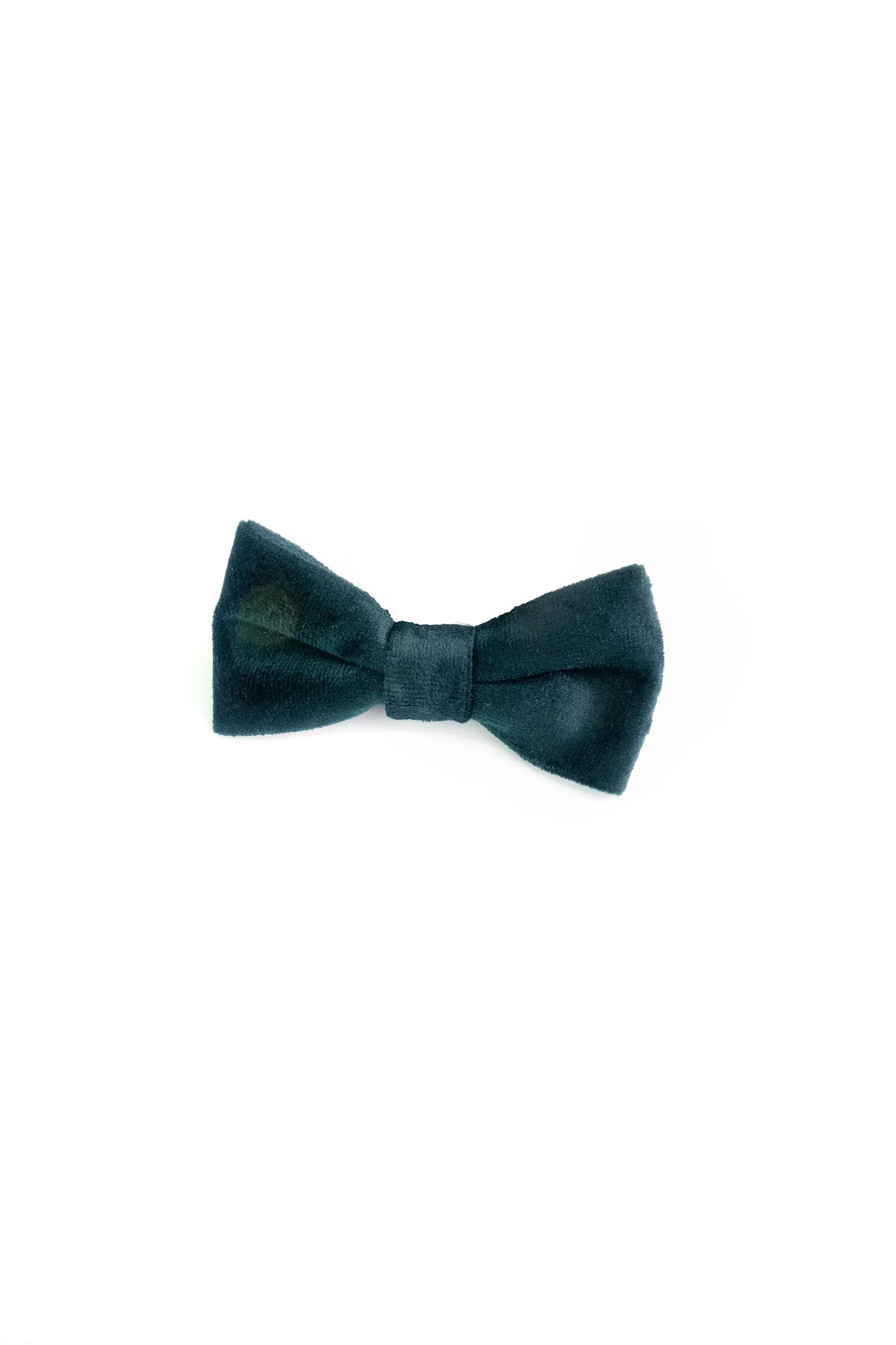 Bow Tie, Forest Velvet