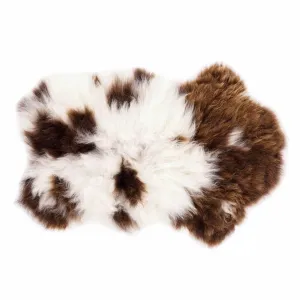 Extra Large British Rare Breed Jacob Sheepskin