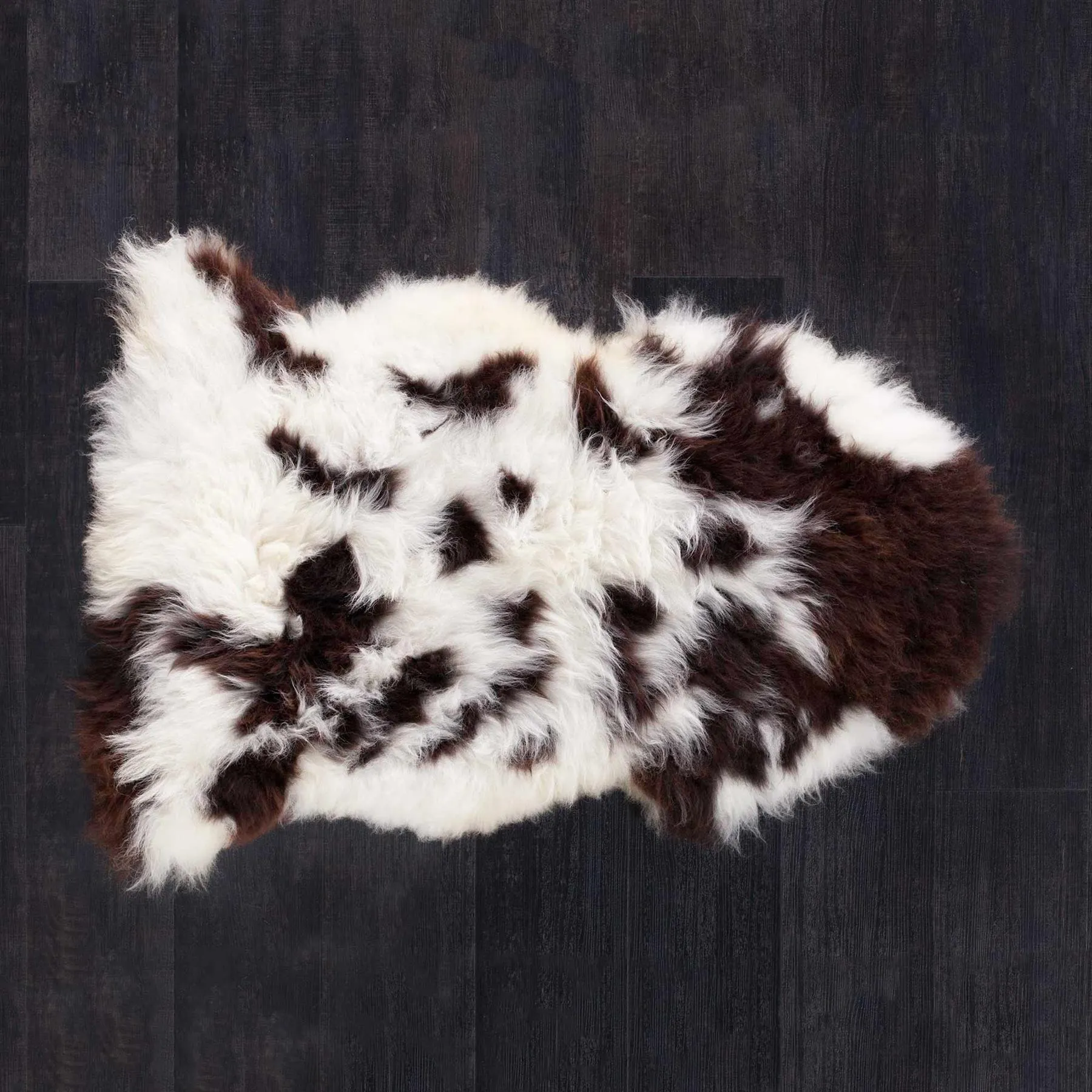 Extra Large British Rare Breed Jacob Sheepskin