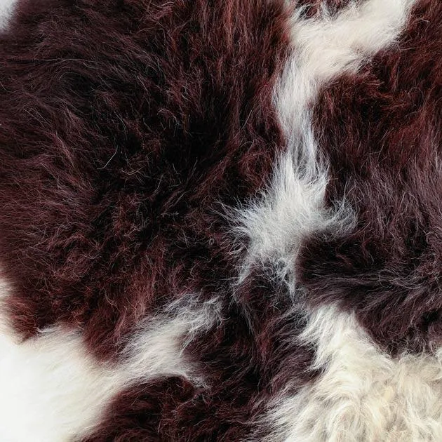 Extra Large British Rare Breed Jacob Sheepskin