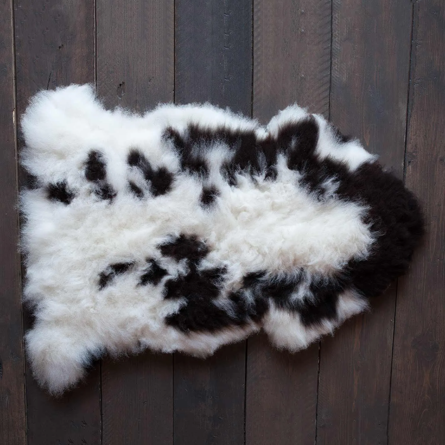 Extra Large British Rare Breed Jacob Sheepskin