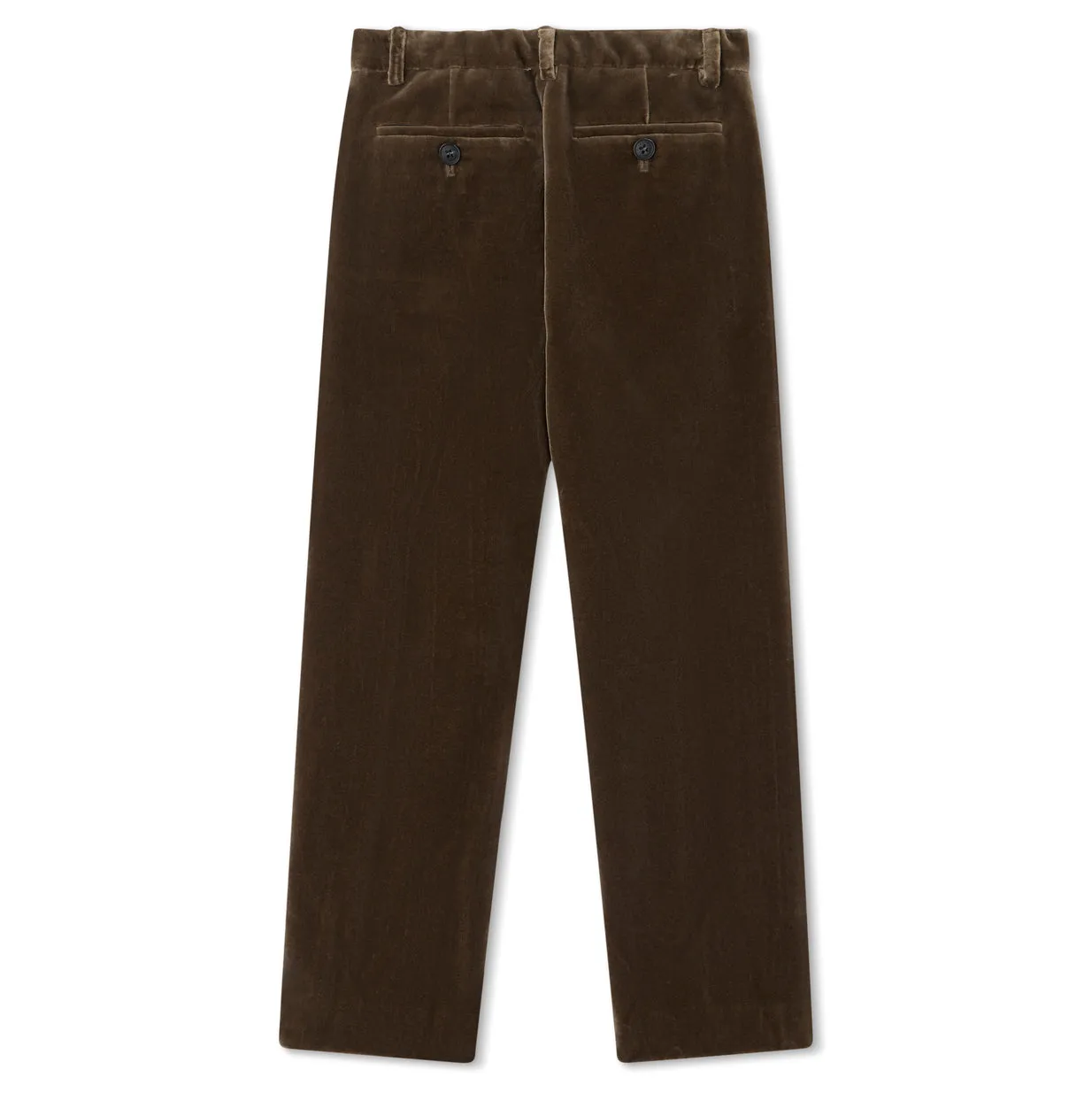 Timote Occasion Velvet Suit Pants